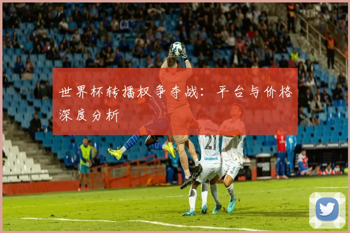 世界杯转播权争夺战:平台与价格深度分析