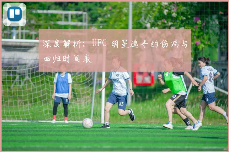 深度解析：UFC 明星选手的伤病与回归时间表